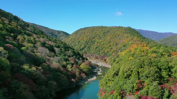 Aerial view 4k by drone of Katsura river at autumn and boats. Arashiyama, Kyoto alt