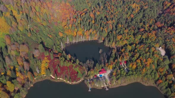 Lake Among Autumn Colors alt