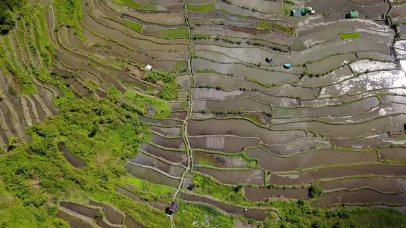 Rice Terraces And Green Mountains In Batad Banaue In Ifugao Philippines alt