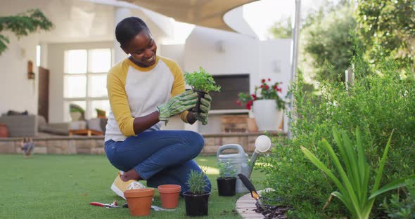 Happy african amercian woman gardening holding pot plant in garden alt