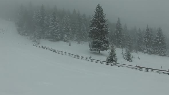 Flight Over Winter Mountain Forest alt
