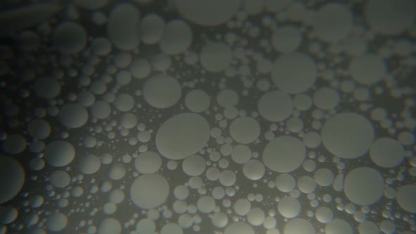 Close Up Of Oil In Water