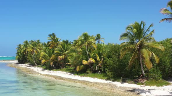 Wild Tropical Coastline with Coconut Palm Trees and Turquoise Caribbean Sea alt