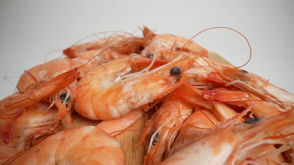 Boiled Shrimp 42 alt