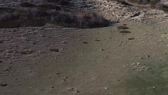 A Beautiful Flight Over Green Meadows with Grass and Rocky Soil on a Flock of Wild Horses Grazing alt