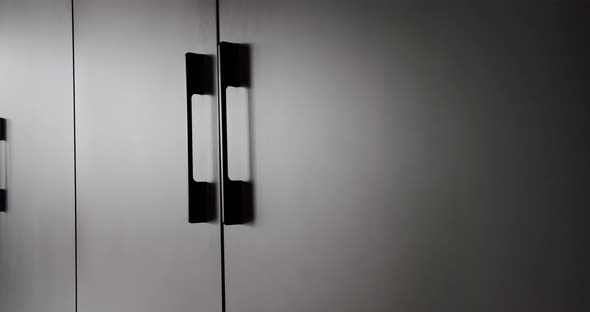 Minimalist black wardrobe in modern interior. Door Details.Minimalist black door alt
