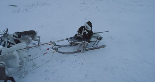 In the Middle of Tundra alt