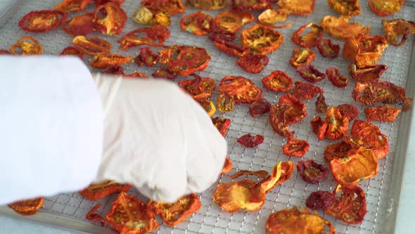 machine drying and removing sliced ​​vegetables alt