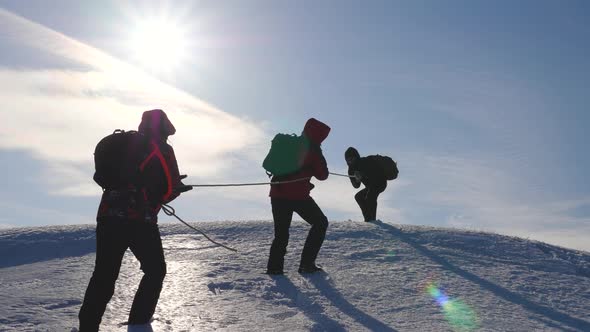 Three Alpenists Climb Rope on Snowy Mountain. Tourists Work Together As Team Shaking Heights alt