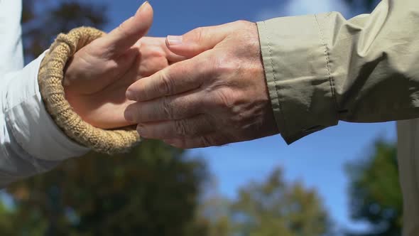 Senior Male Holding Female Hand Outdoors, Aged Couple Romance, Love Affection