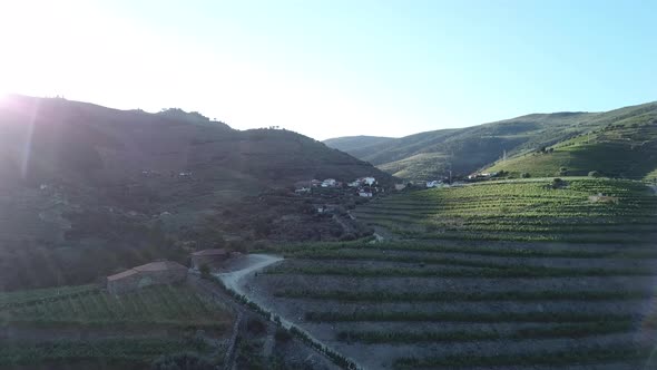 Slowly flying toward a distant hill covered in terraced vineyards in the breathtaking Douro Valley o alt