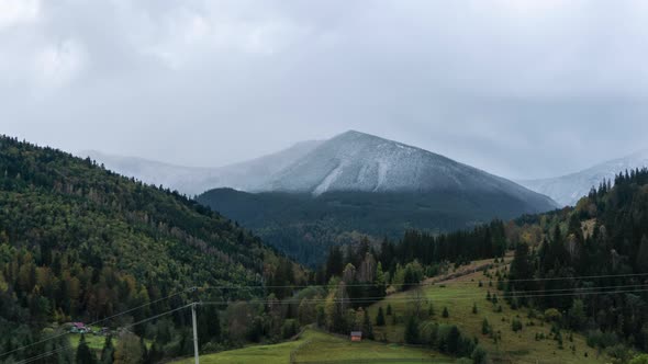 The snow-covered peak of the mountain is overgrown with a pine forest