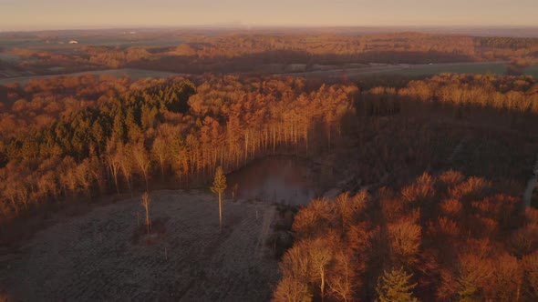 Denmark Forest During Sunrise alt