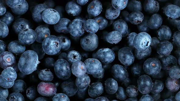 Super Slow Motion Shot of Flying and Rotating Fresh Blueberries at 1000Fps alt