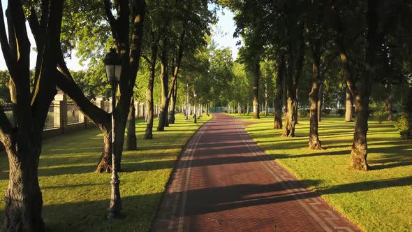 Group of People Cycling in Summer Park alt