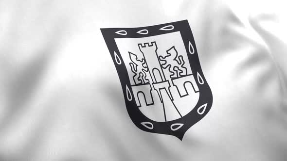 Mexico City Flag alt