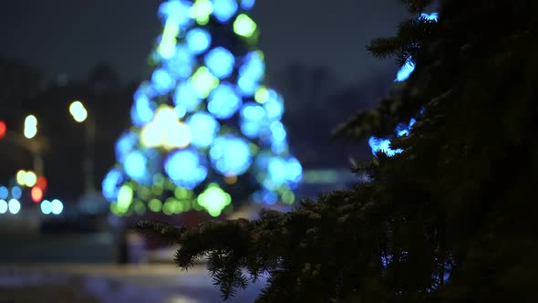 Christmas Tree in Focus Against the Backdrop of City Life in Winter at Night