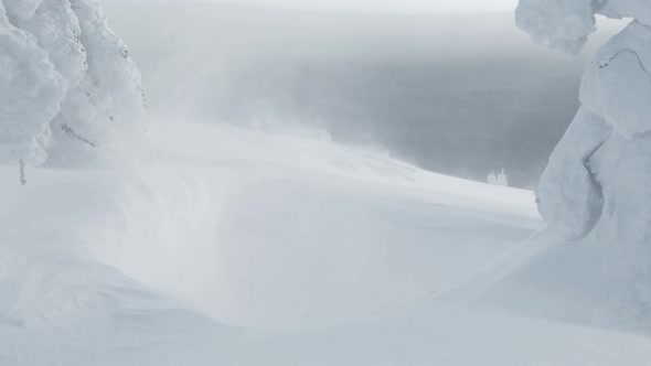 Blizzard and Swirls of Snow on Snowdrifts of Mountain Slope Between Frozen Trees alt