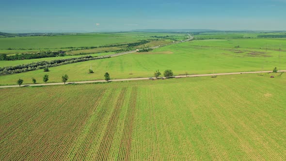 Aerial Drone Shot Flying Over a Green Field
