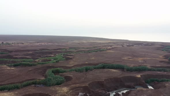 Aerial shot brown desert cracks filled with green vegetation, drone shot alt