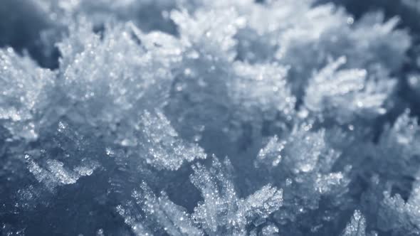 Snow Cover Macro Shot alt