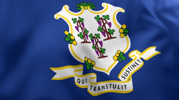 Connecticut State Flag alt