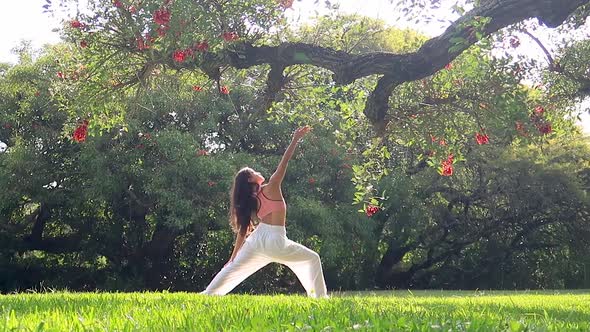 Young Woman Practicing Yoga in a Green Park under a Tree.Wellness Concept