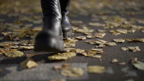 Woman is Walking in Park in Autumn Closeup of Feet Black Boots are Stepping on Asphalt alt