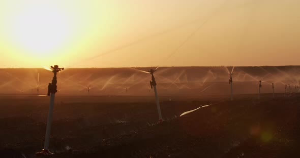 Irrigation Sprinklers In The Field. Watering The Fields At Sunset alt