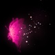 Butterfly 01 Particles Pink - VideoHive Item for Sale