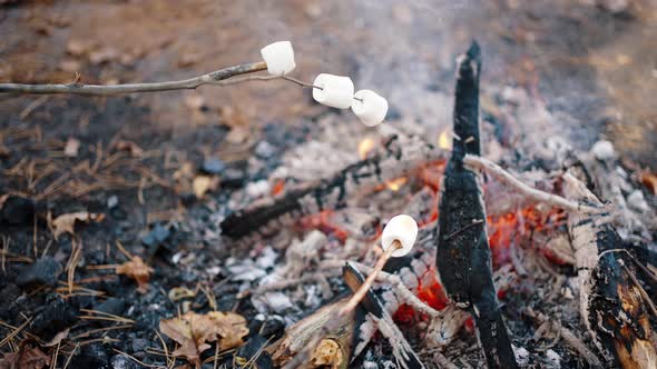 Somebody Roasting Marshmallows Strung on Dry Branches on Burning Smoky Campfire in Autumn Forest alt