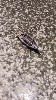 Vertical Video of Low Tide in the Ocean Near the Coast of Zanzibar Tanzania alt