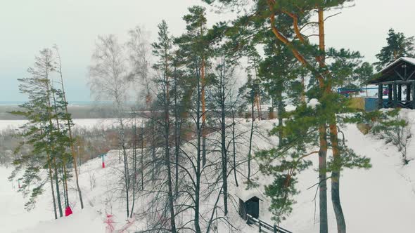 Large Snowy Hill with Coniferous Trees and Dark Wooden Arbor alt