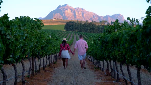 Vineyard Landscape at Sunset with Mountains in Stellenbosch Near Cape Town South Africa alt