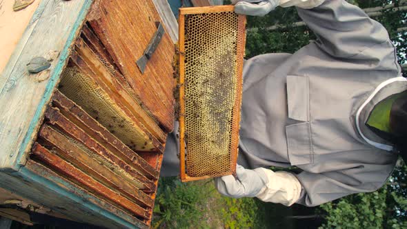 Small Business and Organic Food Production Concept alt