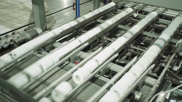 A Working Conveyor in a Paper Mill. Technology. Factory. Kyiv. Ukraine. alt