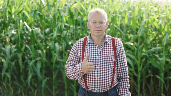 Portrait Senior Man Standing in Green Corn Field Smiling Cheerfully to Camera and Giving Thumb Up