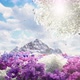 Beautiful Landscape - VideoHive Item for Sale