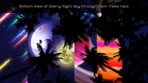 Bottom View on Night Sky Through Palm Trees - Pack HD