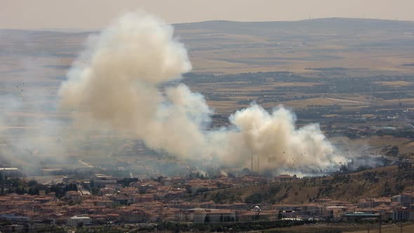 Bushy Forest Fire Conflagration at The Edge of City Houses alt