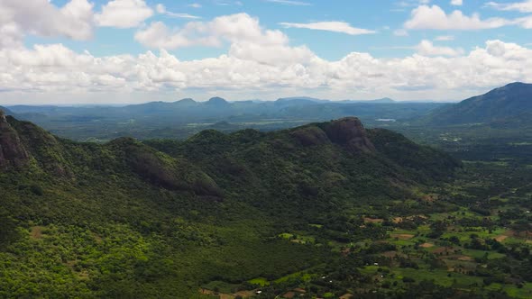 Agricultural Land and Mountains with Green Forest alt