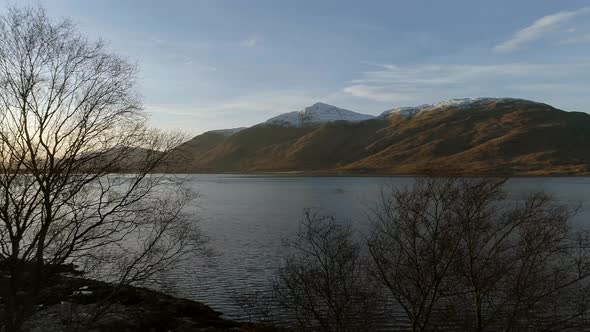 Scottish Loch Trees on the Shoreline alt