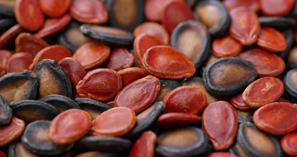 Mix Black and red melon dry seed for chinese new year alt