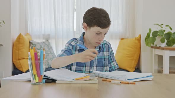 Young boy sitting at home preparing homework for school alt