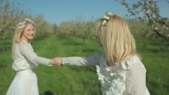 Two Beautiful Blonde Twin Sisters Dance in a Spring Blooming Orchard 