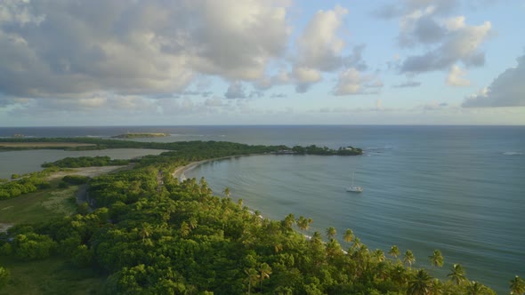 Aerial of green trees and landscape along beautiful sea alt