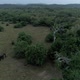 Cinematic Aerial, Two Wild Elephants Walking With The Sun Setting And Birds Perched On A Tree - VideoHive Item for Sale