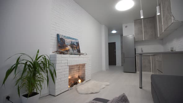 Stylish Interior of Room with Fireplace