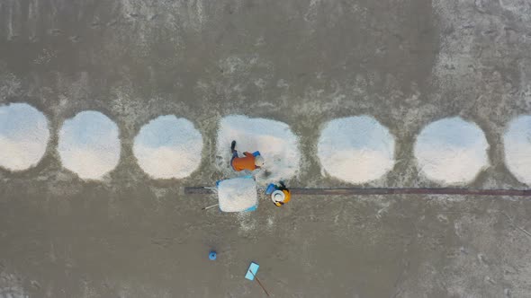 Aerial top view of farmers making heaps of raw sea salt piles with sea. Farm field outdoor. Nature
