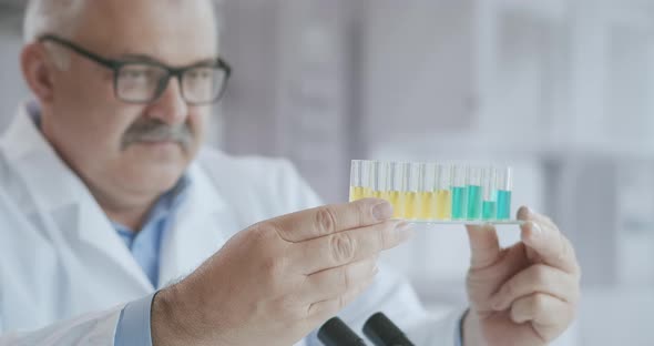 Scientist or Technologist Doing a Laboratory Test. Concentrated, Liquid. Male Chemist Examines a alt